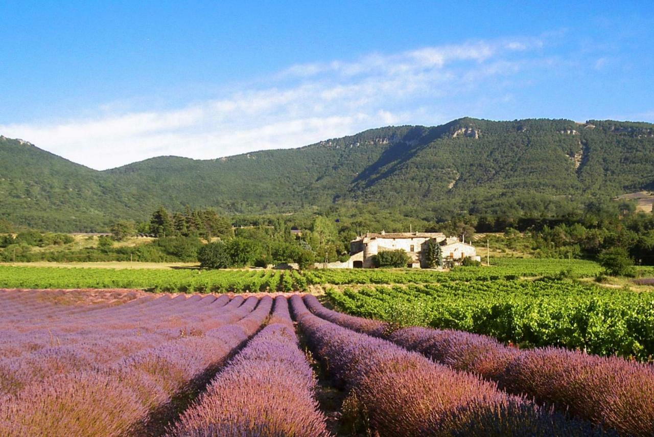 Du Château D'alençon *