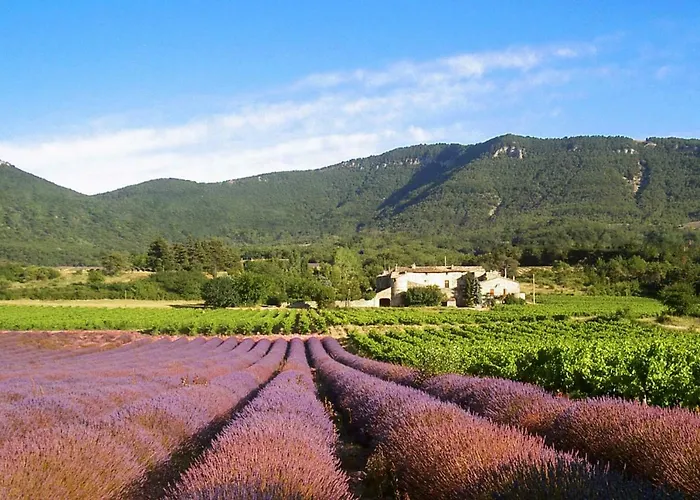Gites Du Chateau D\'Alencon