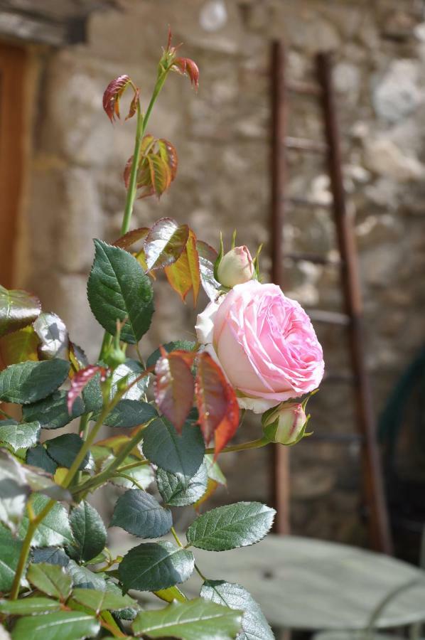 Du Chateau D'alencon * Le Pegue