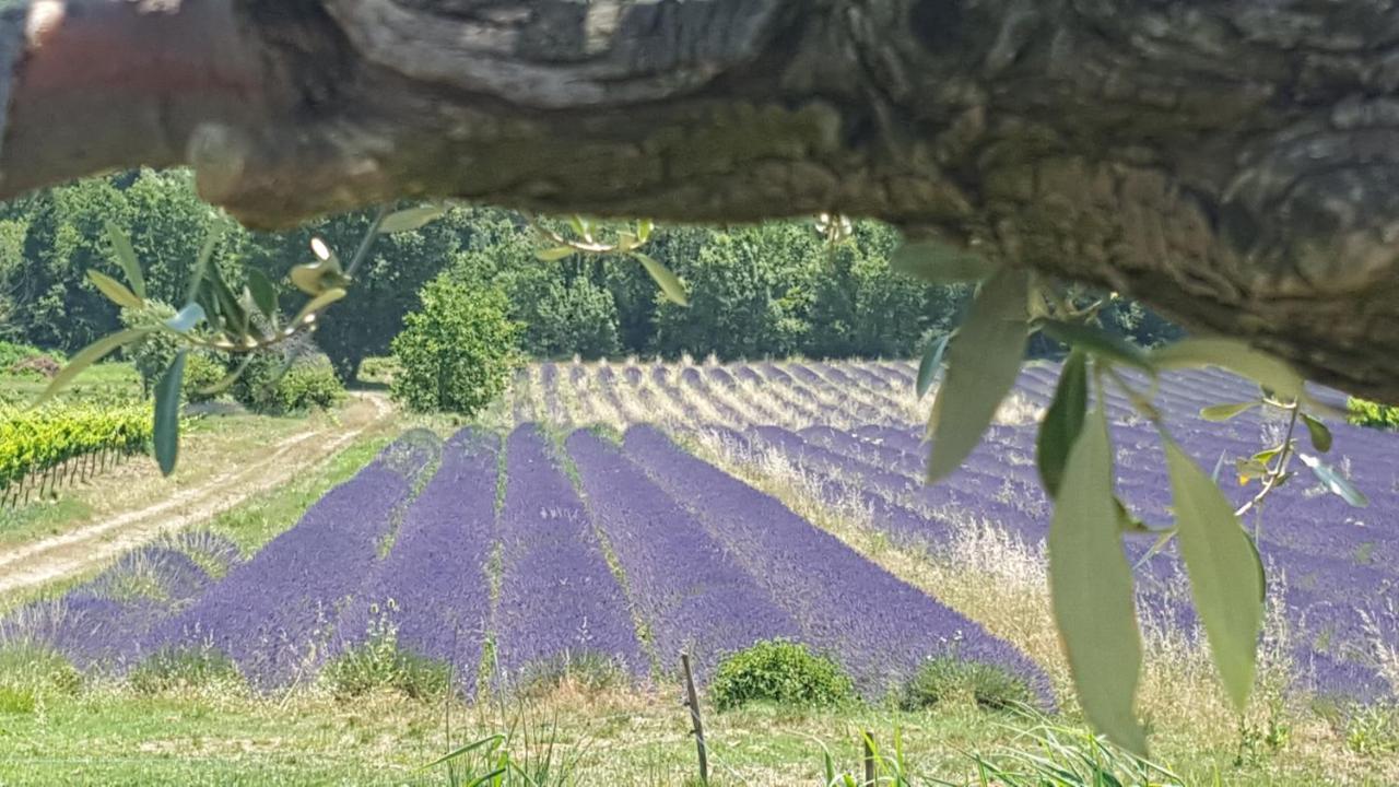 Holiday home Du Chateau D'alencon