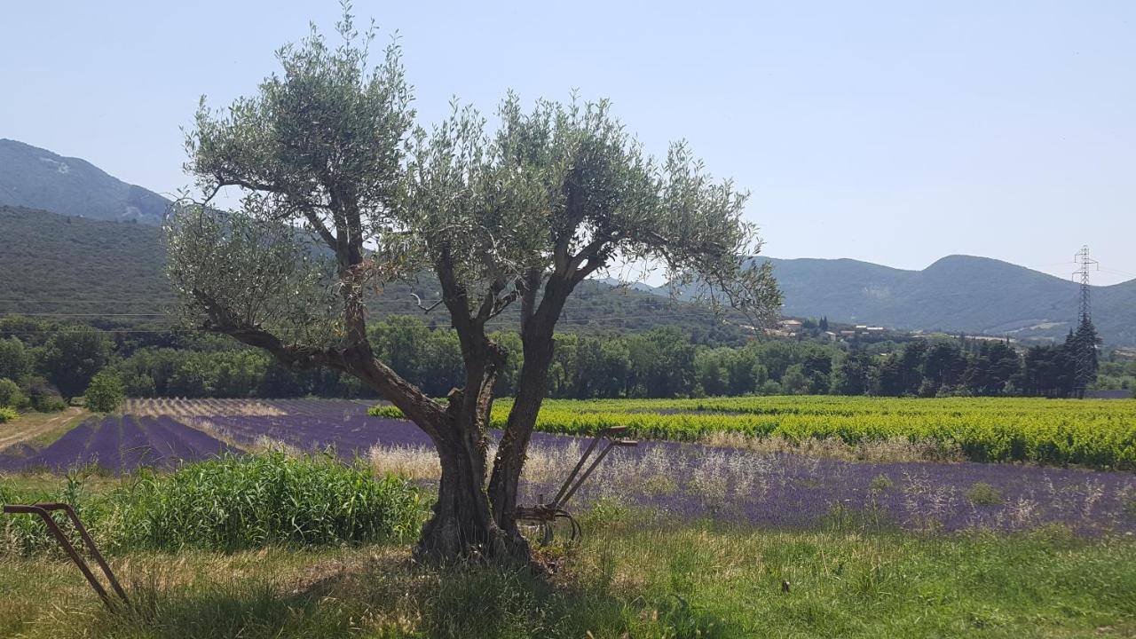 Du Chateau D'alencon Le Pegue